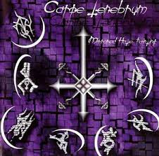 CARPE TENEBRUM - MIRRORED HATE PAINTING