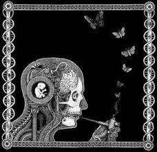 Seon - Cognitive
